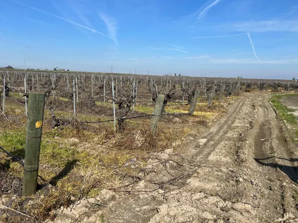 $1,800,000 | 9577 South Del Rey Avenue, Selma, CA 93662