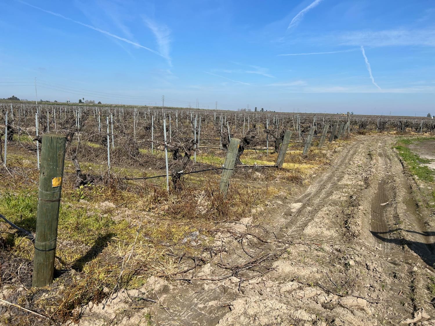 9577 South Del Rey Avenue Selma, CA 93662 - Photo 3 of 5