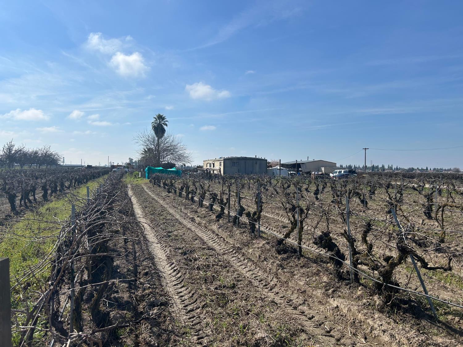 9577 South Del Rey Avenue Selma, CA 93662 - Photo 5 of 5