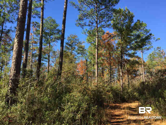0 Boothtown Road Citronelle, AL 36522 - Photo 4 of 10