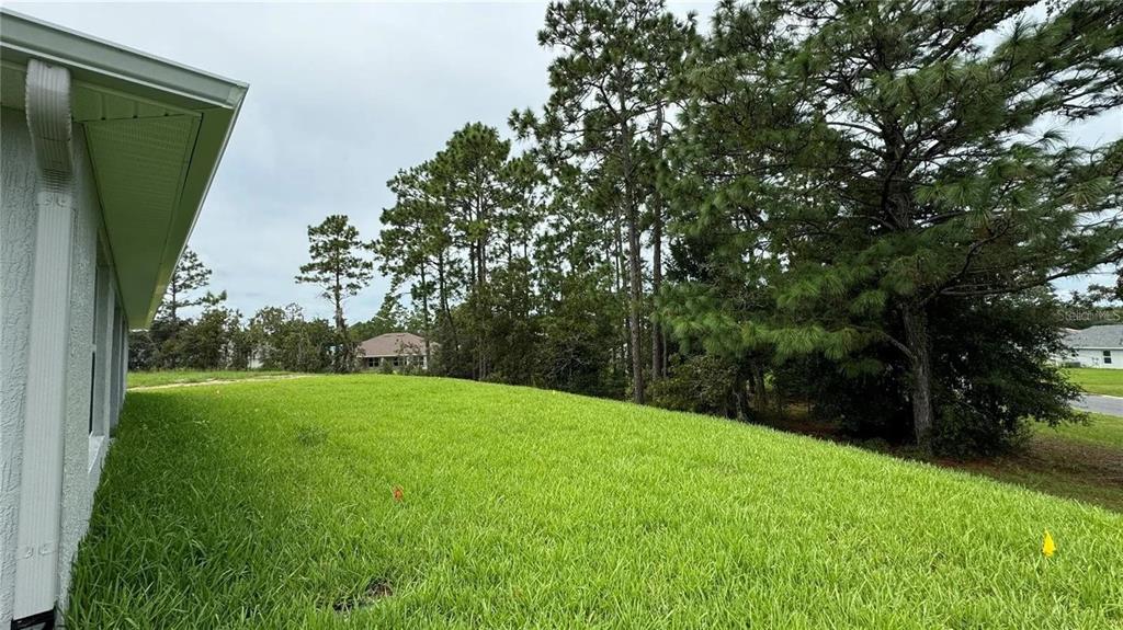 17745 Southwest 72nd Street Road Dunnellon, FL 34432 - Photo 35 of 37