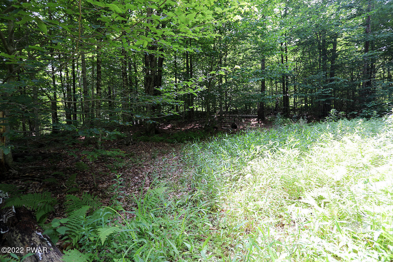 0 Minckler Mountain Road Damascus, PA 18415 - Photo 7 of 43