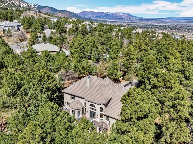 a view of a forest with a house in a forest
