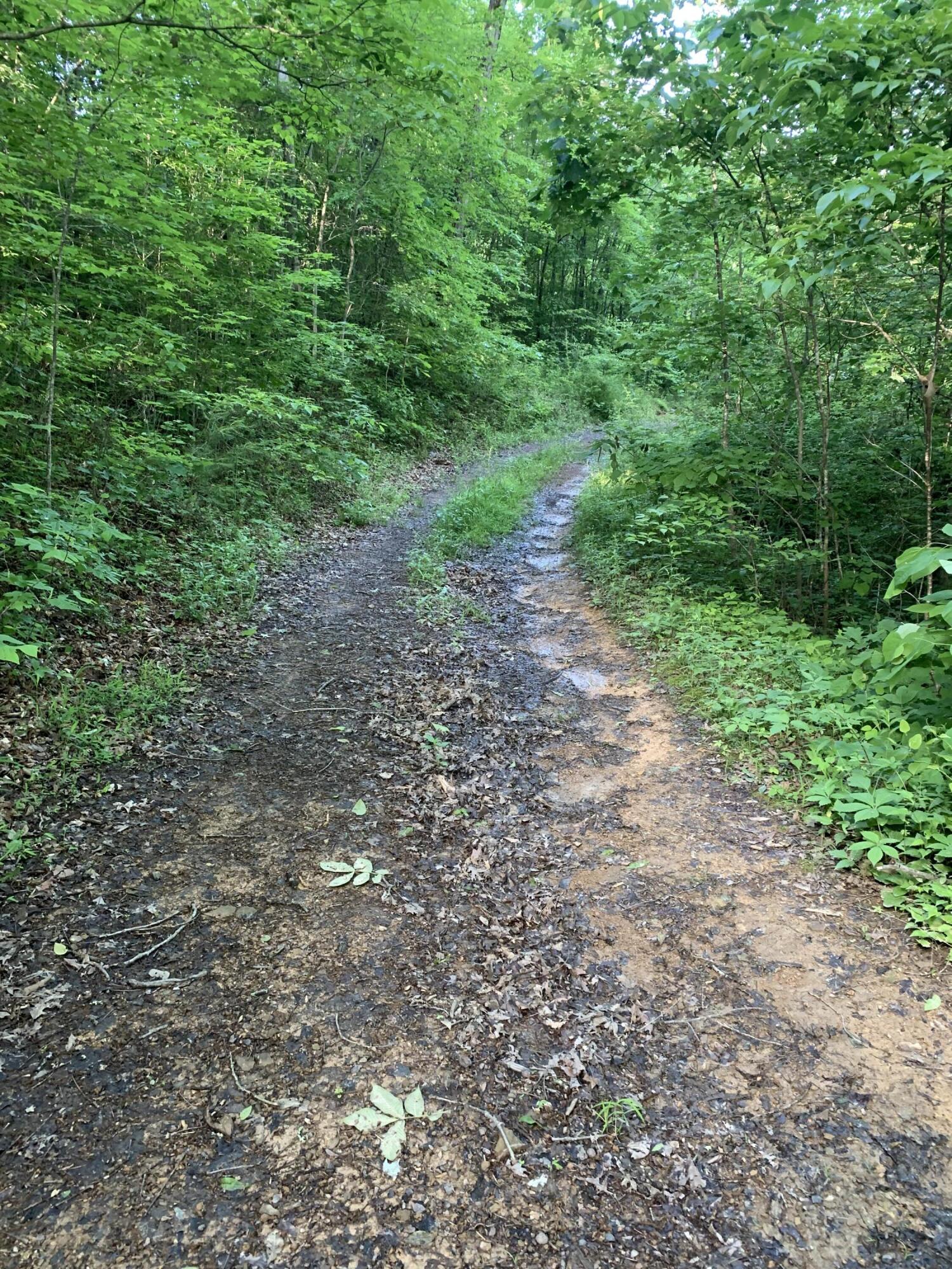 517 Camp Branch Road Hazel Green, KY 41332 - Photo 26 of 32 IMG_8759