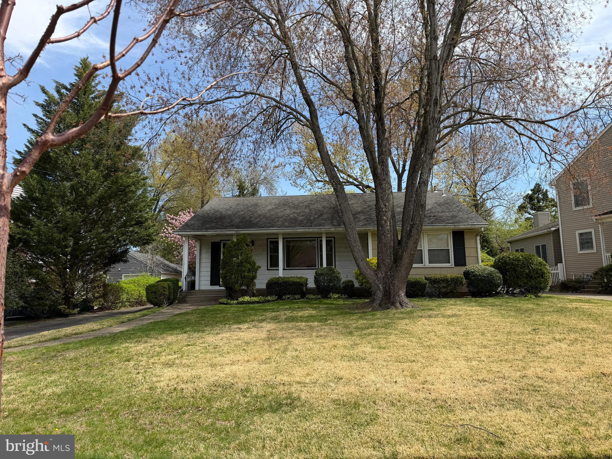 a view of a house with a large tree in front of a house