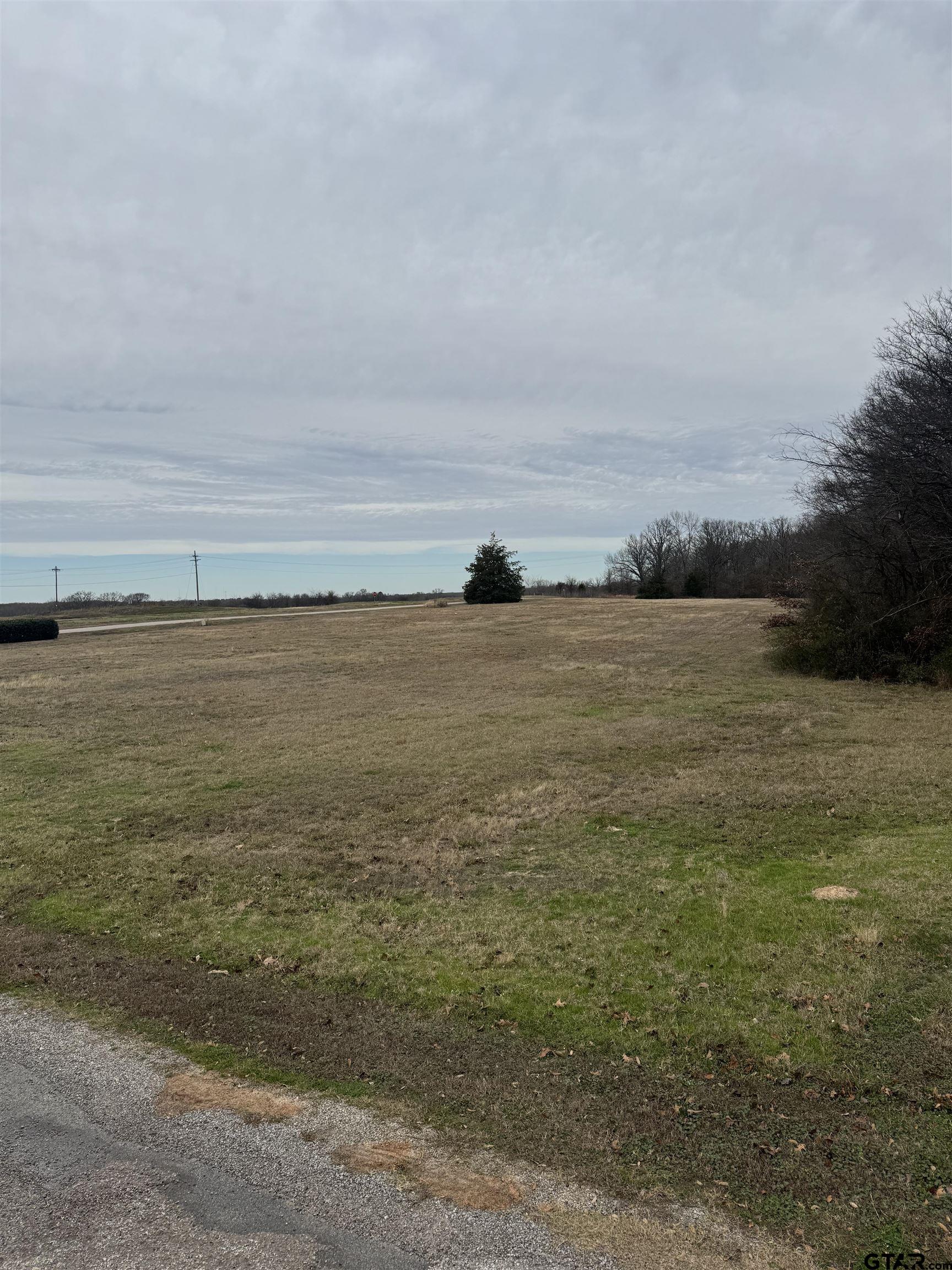 4215 Tbd County Road Mount Pleasant, TX 75455 - Photo 4 of 6