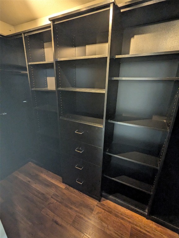 1016 Stacia's Way Pflugerville, TX 78660 - Photo 19 of 34 master walk in closet