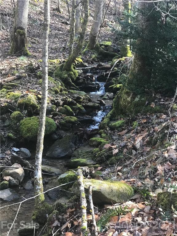 a backyard of water fountain and trees