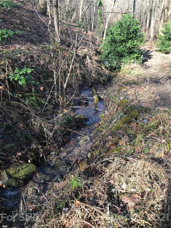 5745 Highway 28 Bryson City, NC 28713 - Photo 2 of 10 a view of a forest that has a tree