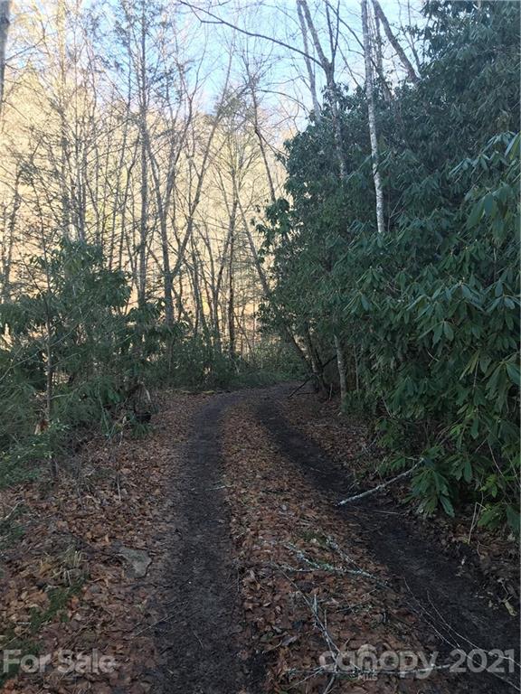 5745 Highway 28 Bryson City, NC 28713 - Photo 3 of 10 a view of a forest with trees in the background