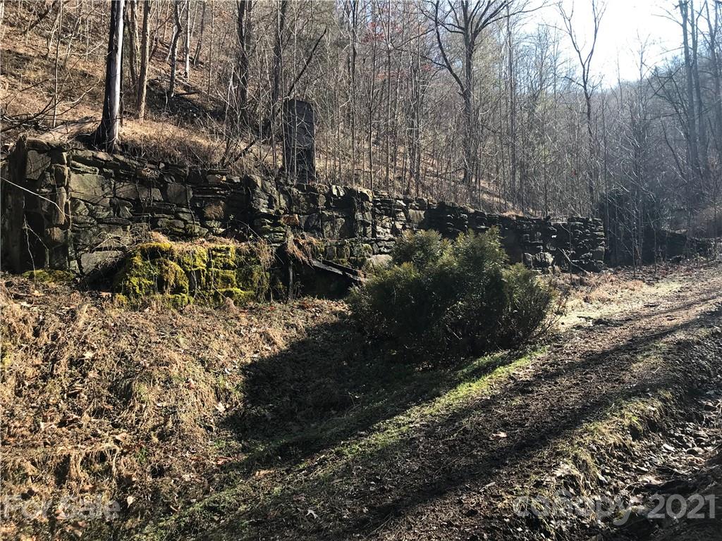 5745 Highway 28 Bryson City, NC 28713 - Photo 4 of 10 a view of a yard with trees