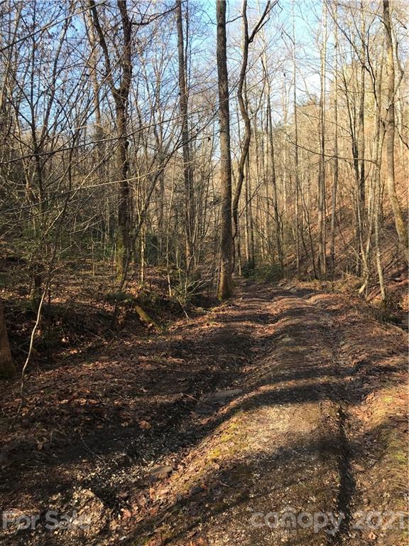 5745 Highway 28 Bryson City, NC 28713 - Photo 5 of 10 a backyard of a house with lots of green space