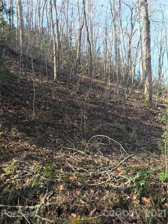 5745 Highway 28 Bryson City, NC 28713 - Photo 6 of 10 a bathroom with a shower