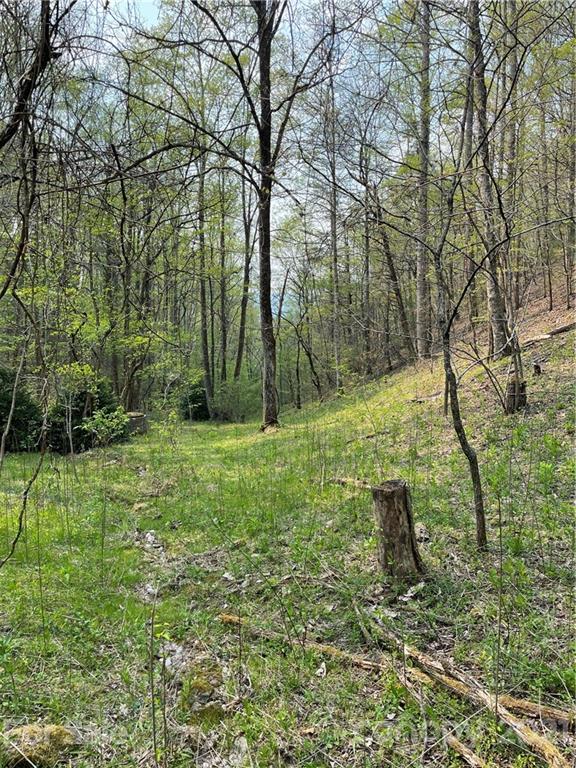 5745 Highway 28 Bryson City, NC 28713 - Photo 7 of 10 a view of a green field