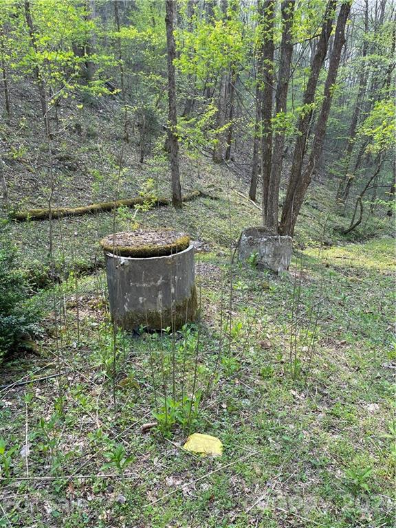 5745 Highway 28 Bryson City, NC 28713 - Photo 8 of 10 a view of a backyard with fountain plants and large trees