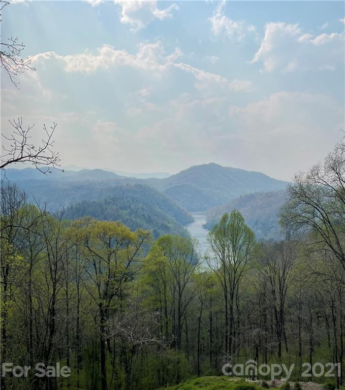 5745 Highway 28 Bryson City, NC 28713 - Photo 9 of 10 a view of a lot of trees and bushes