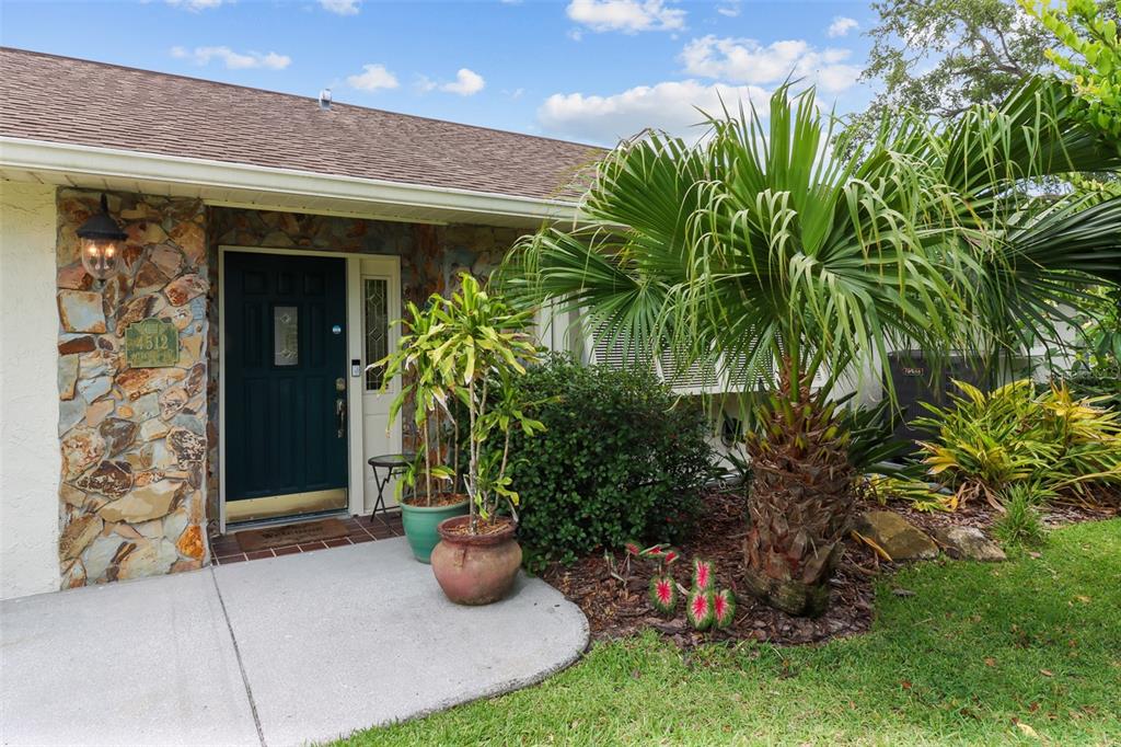 4512 Mitcher Road New Port Richey, FL 34652 - Photo 39 of 44