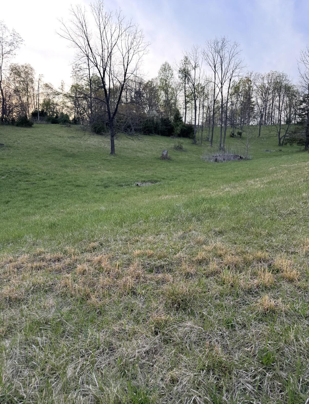0 Tharp Creek Road Ferrum, VA 24088 - Photo 2 of 10 IMG_3222