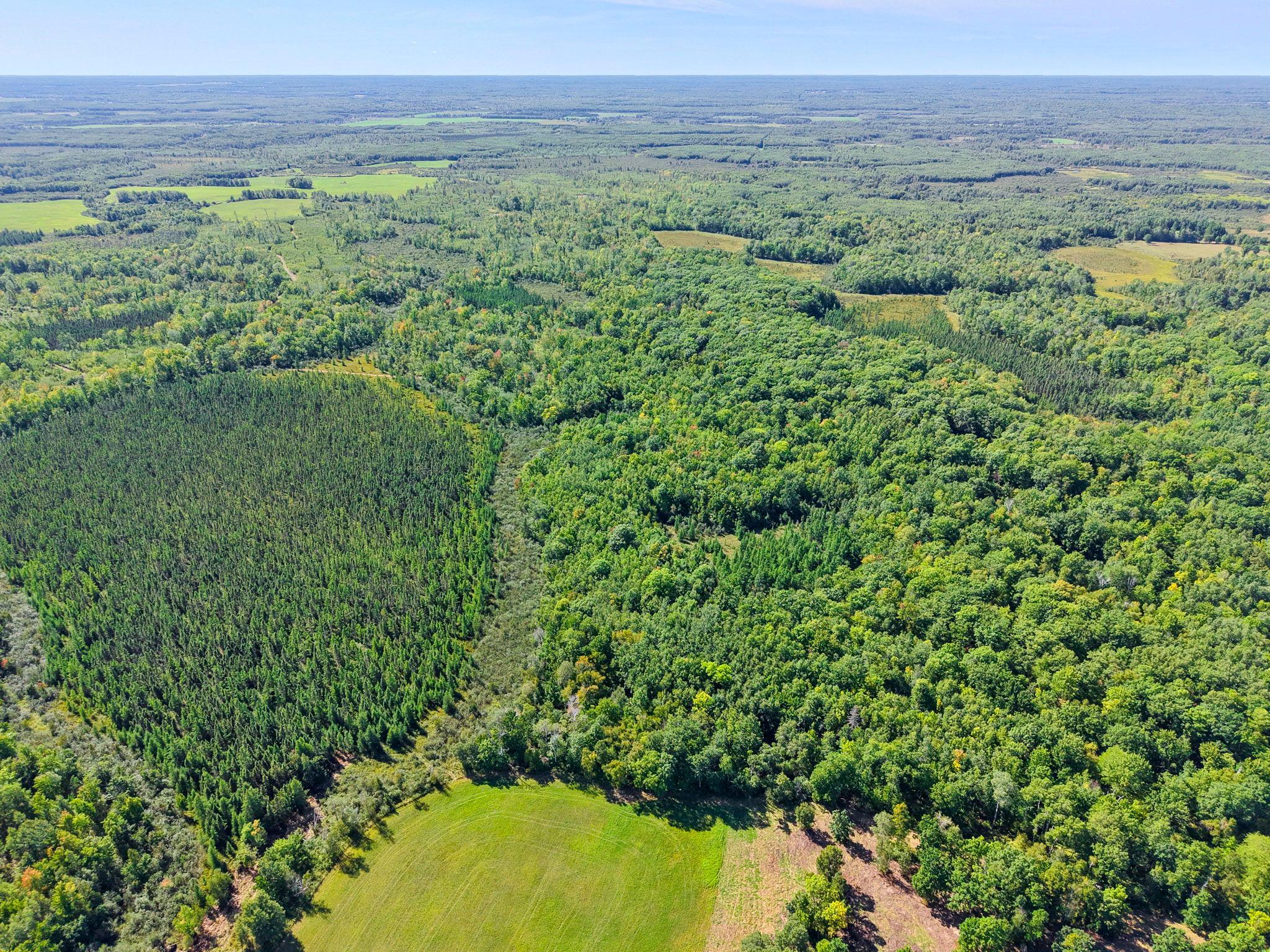 Xxx Fleming Logging Road Hinckley, MN 55037 - Photo 70 of 87 Gallery Image 70