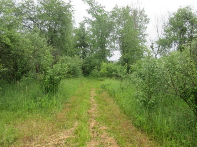 11373 Godfrey Road Morrice, MI 48857 - Photo 12 of 34 IMG_3568