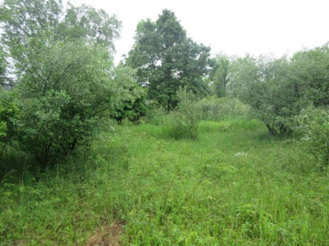 11373 Godfrey Road Morrice, MI 48857 - Photo 14 of 34 IMG_3572