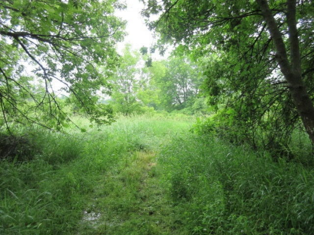 11373 Godfrey Road Morrice, MI 48857 - Photo 15 of 34 IMG_3574