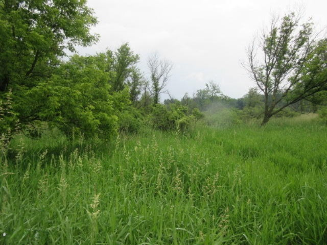 11373 Godfrey Road Morrice, MI 48857 - Photo 17 of 34 IMG_3579