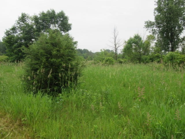11373 Godfrey Road Morrice, MI 48857 - Photo 18 of 34 IMG_3582