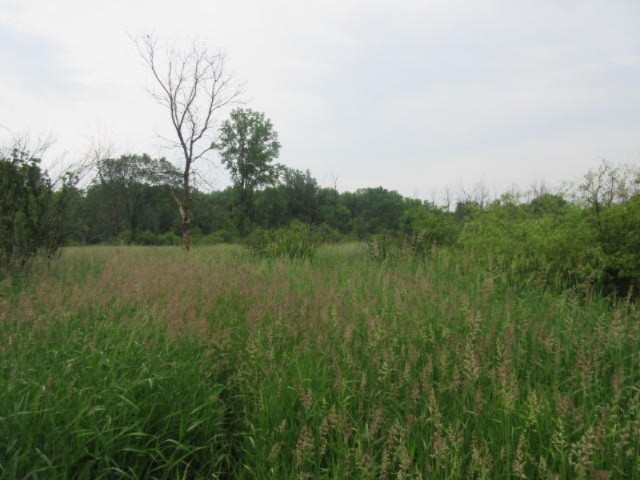 11373 Godfrey Road Morrice, MI 48857 - Photo 19 of 34 IMG_3584