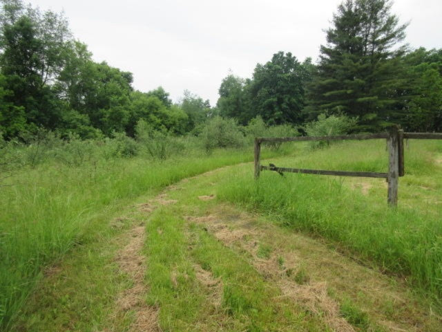 11373 Godfrey Road Morrice, MI 48857 - Photo 20 of 34 IMG_3587