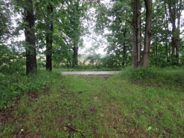 11373 Godfrey Road Morrice, MI 48857 - Photo 21 of 34 IMG_3589