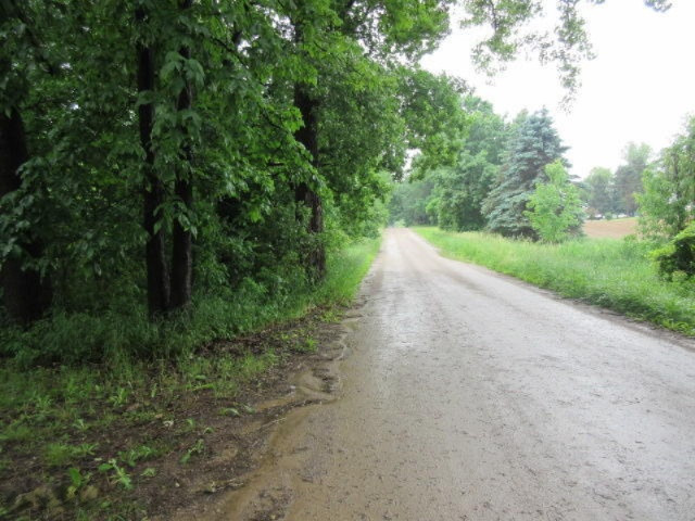 11373 Godfrey Road Morrice, MI 48857 - Photo 23 of 34 IMG_3591