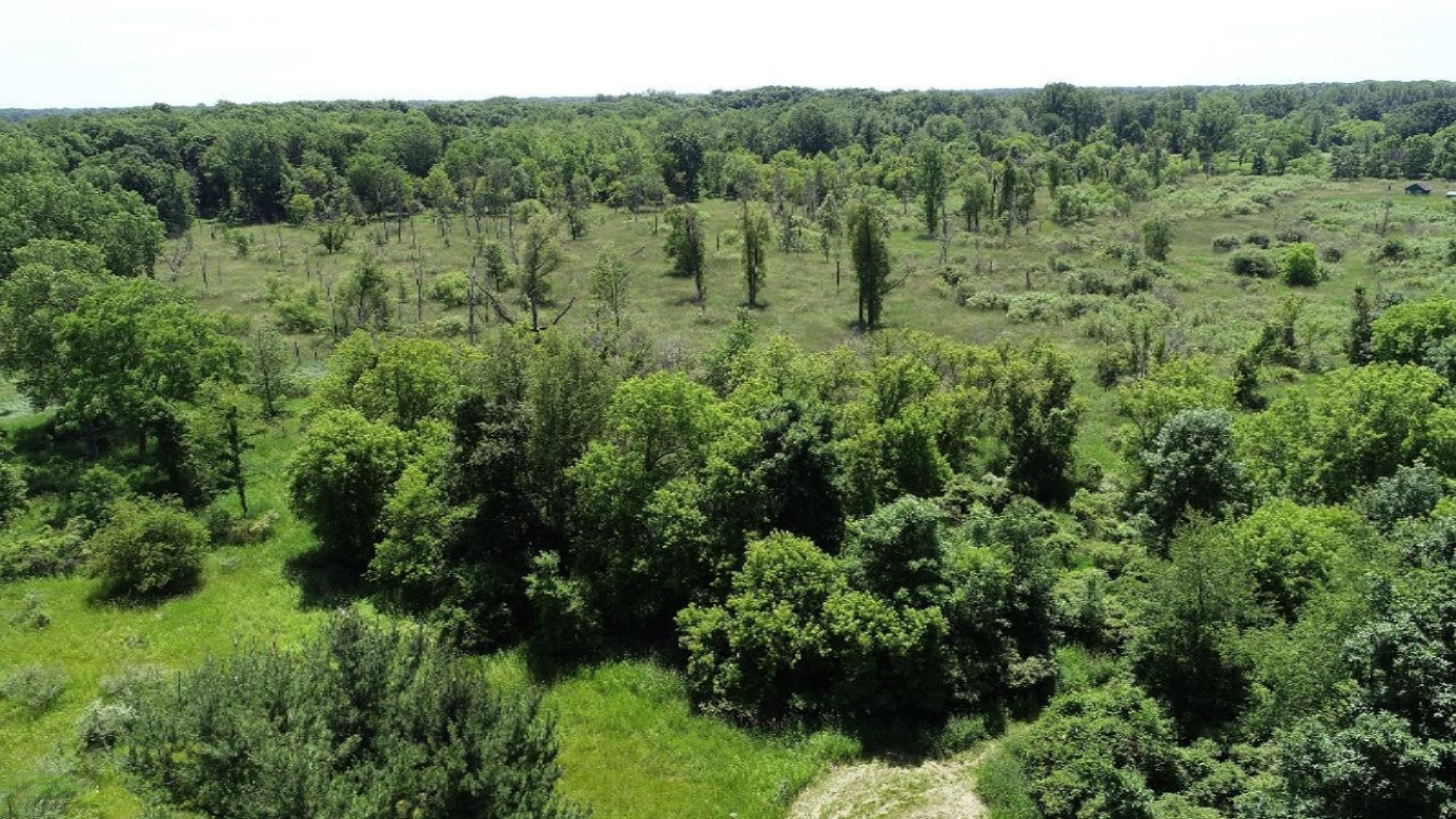 11373 Godfrey Road Morrice, MI 48857 - Photo 25 of 34 DJI_0027
