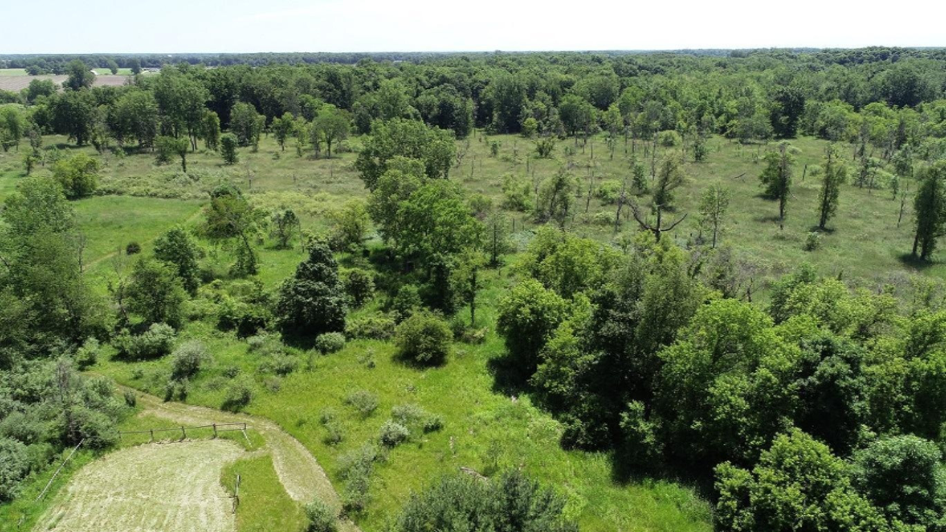 11373 Godfrey Road Morrice, MI 48857 - Photo 28 of 34 DJI_0032