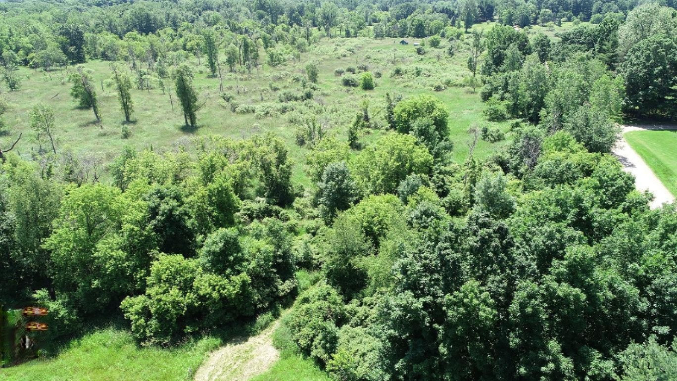 11373 Godfrey Road Morrice, MI 48857 - Photo 29 of 34 DJI_0033