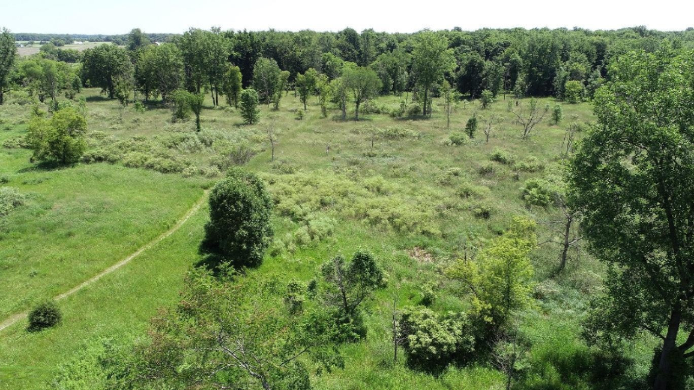 11373 Godfrey Road Morrice, MI 48857 - Photo 30 of 34 DJI_0034