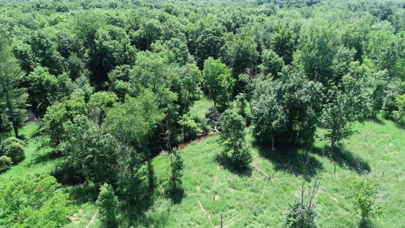 11373 Godfrey Road Morrice, MI 48857 - Photo 31 of 34 DJI_0036