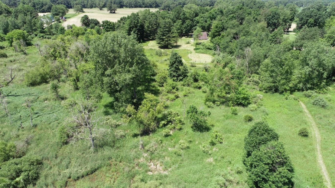 11373 Godfrey Road Morrice, MI 48857 - Photo 32 of 34 DJI_0037