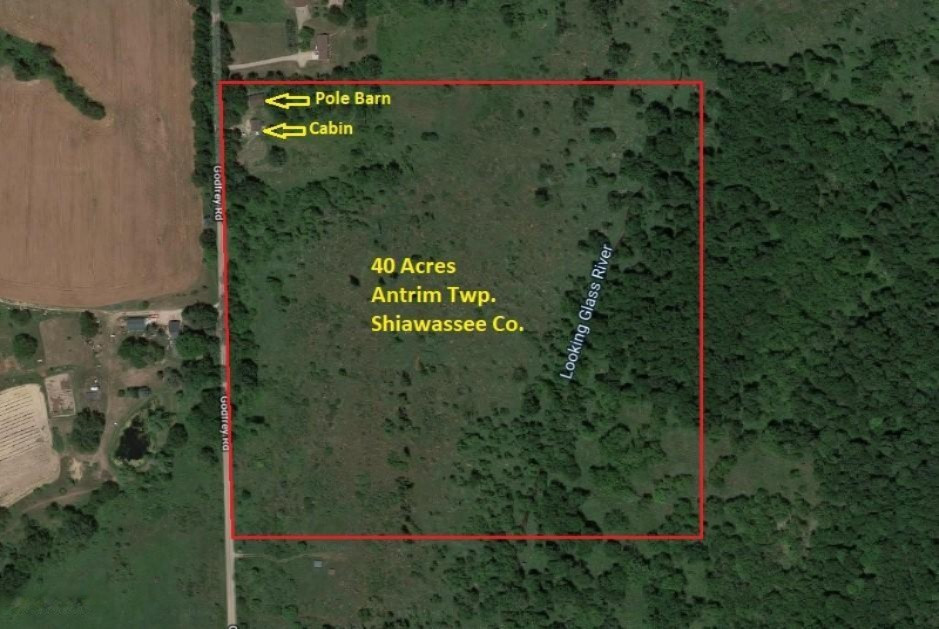 11373 Godfrey Road Morrice, MI 48857 - Photo 34 of 34 Aerial1