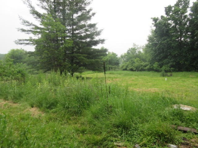 11373 Godfrey Road Morrice, MI 48857 - Photo 8 of 34 IMG_3560