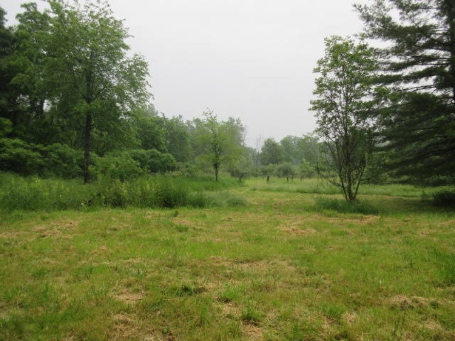 11373 Godfrey Road Morrice, MI 48857 - Photo 9 of 34 IMG_3562
