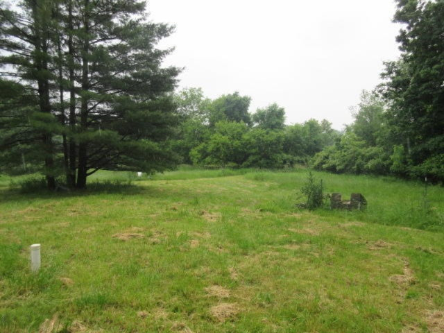 11373 Godfrey Road Morrice, MI 48857 - Photo 10 of 34 IMG_3563