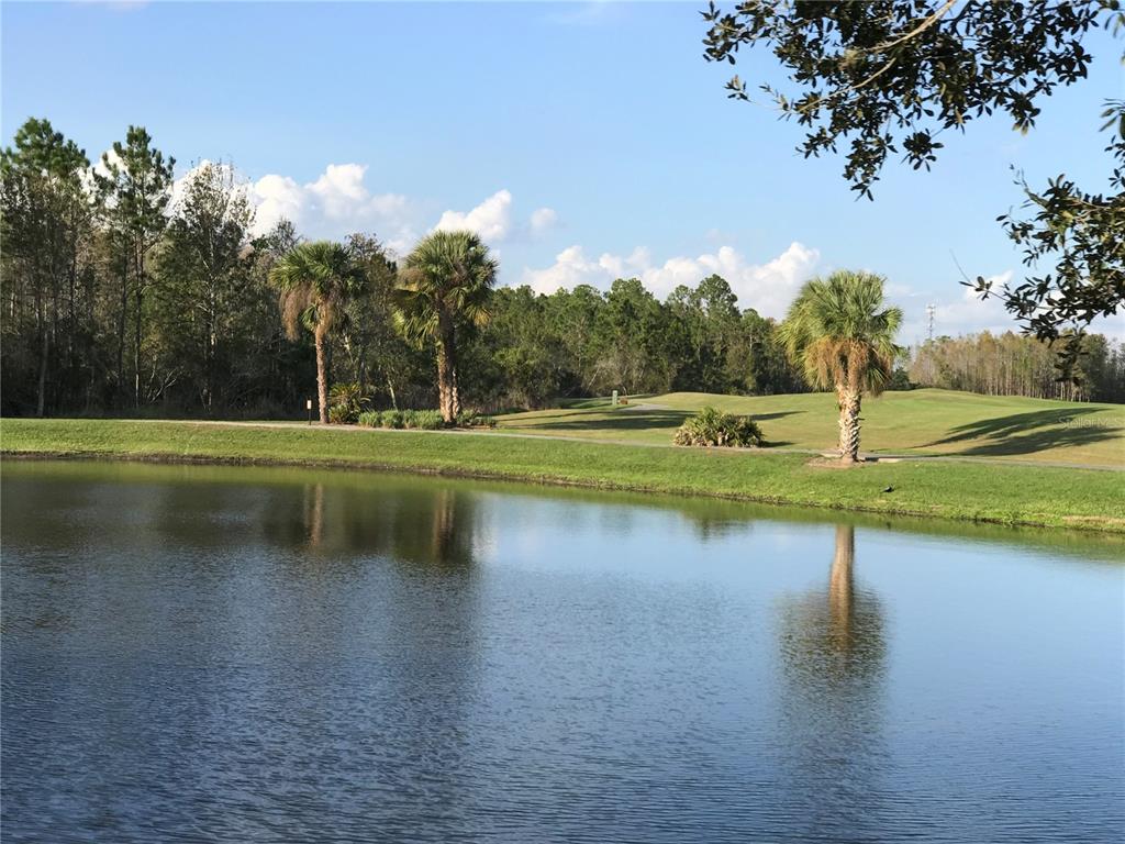 314 Scripps Ranch Road Poinciana, FL 34759 - Photo 46 of 46 Gallery Image 46