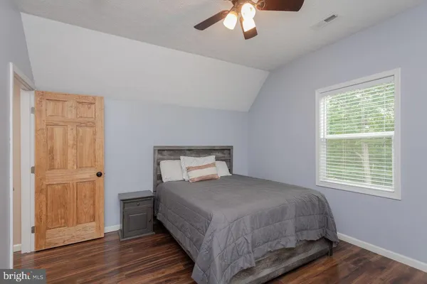 a view of a lush green forest with a mountain in the background