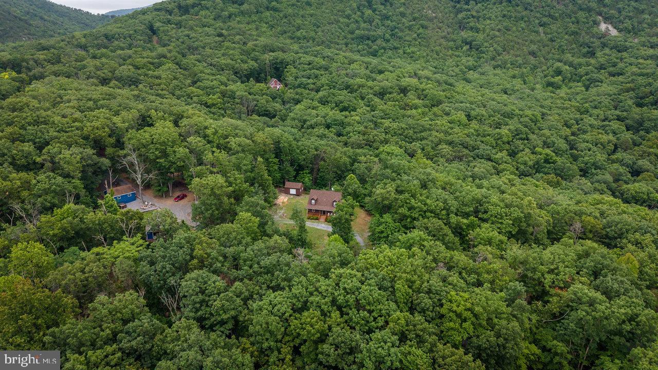 159 Park View Shenandoah, VA 22849 - Photo 43 of 66 an aerial view of residential house with outdoor space and trees all around