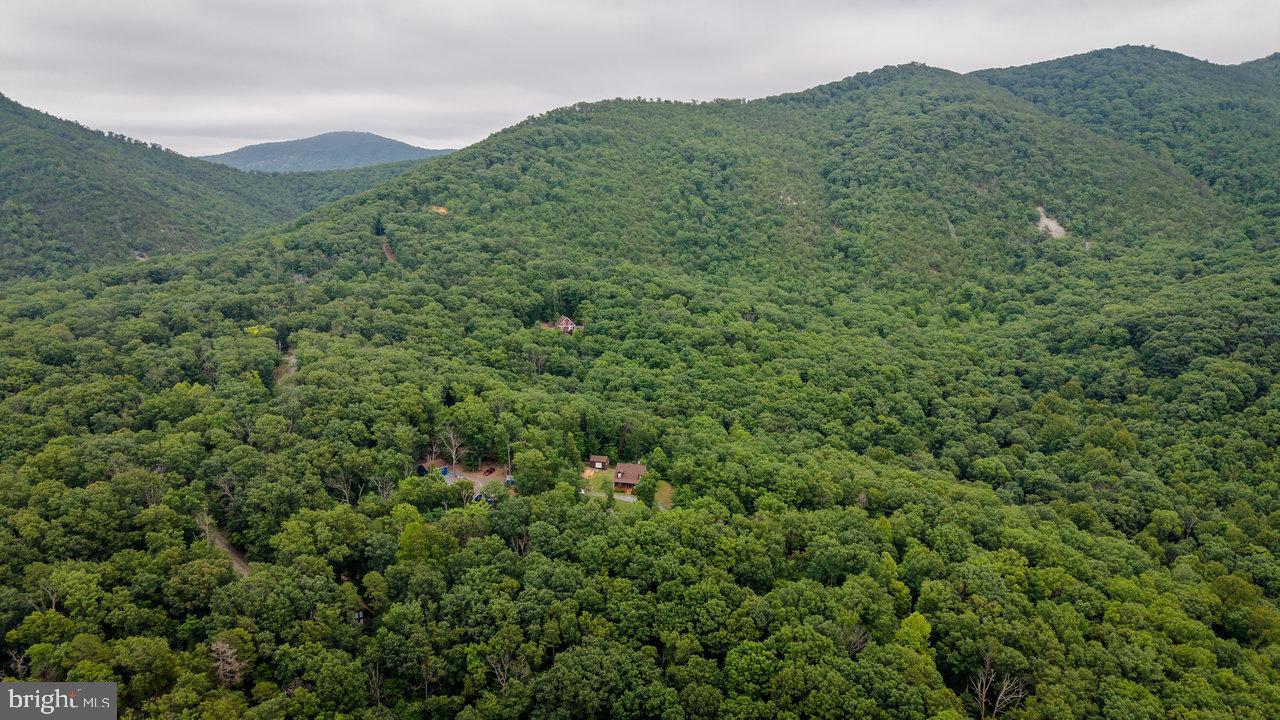 159 Park View Shenandoah, VA 22849 - Photo 44 of 66 a view of a lush green forest with a mountain in the background
