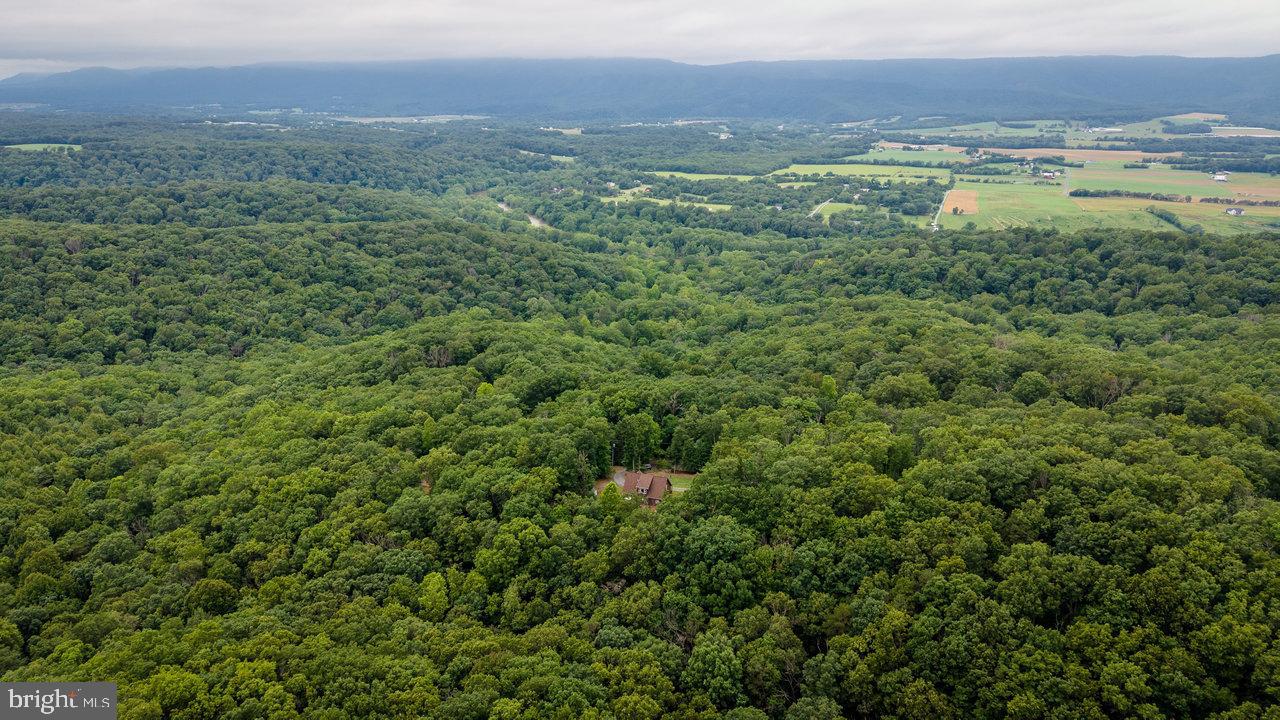 159 Park View Shenandoah, VA 22849 - Photo 47 of 66