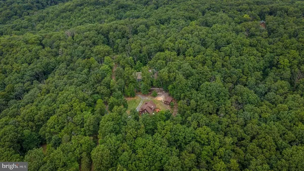 a view of a wooden house with a small yard and large trees