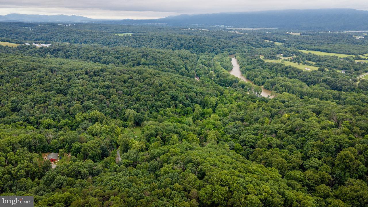 159 Park View Shenandoah, VA 22849 - Photo 53 of 66 a view of a city with lush green forest
