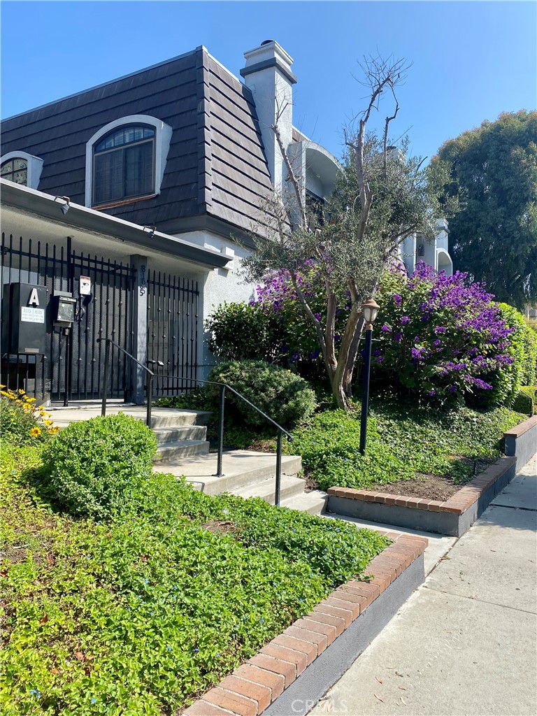 a view of a house with a garden